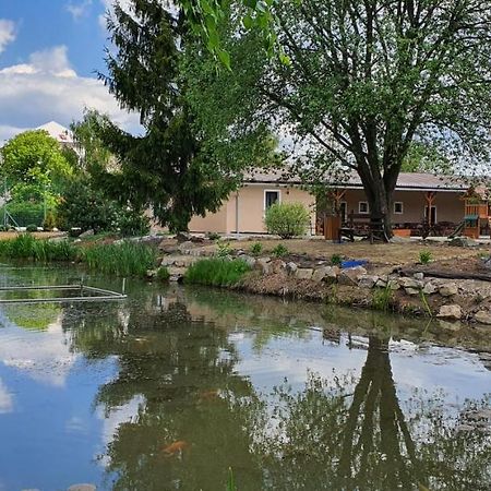 Penzion A Hospudka U Anny Nove Sedlo Exterior photo